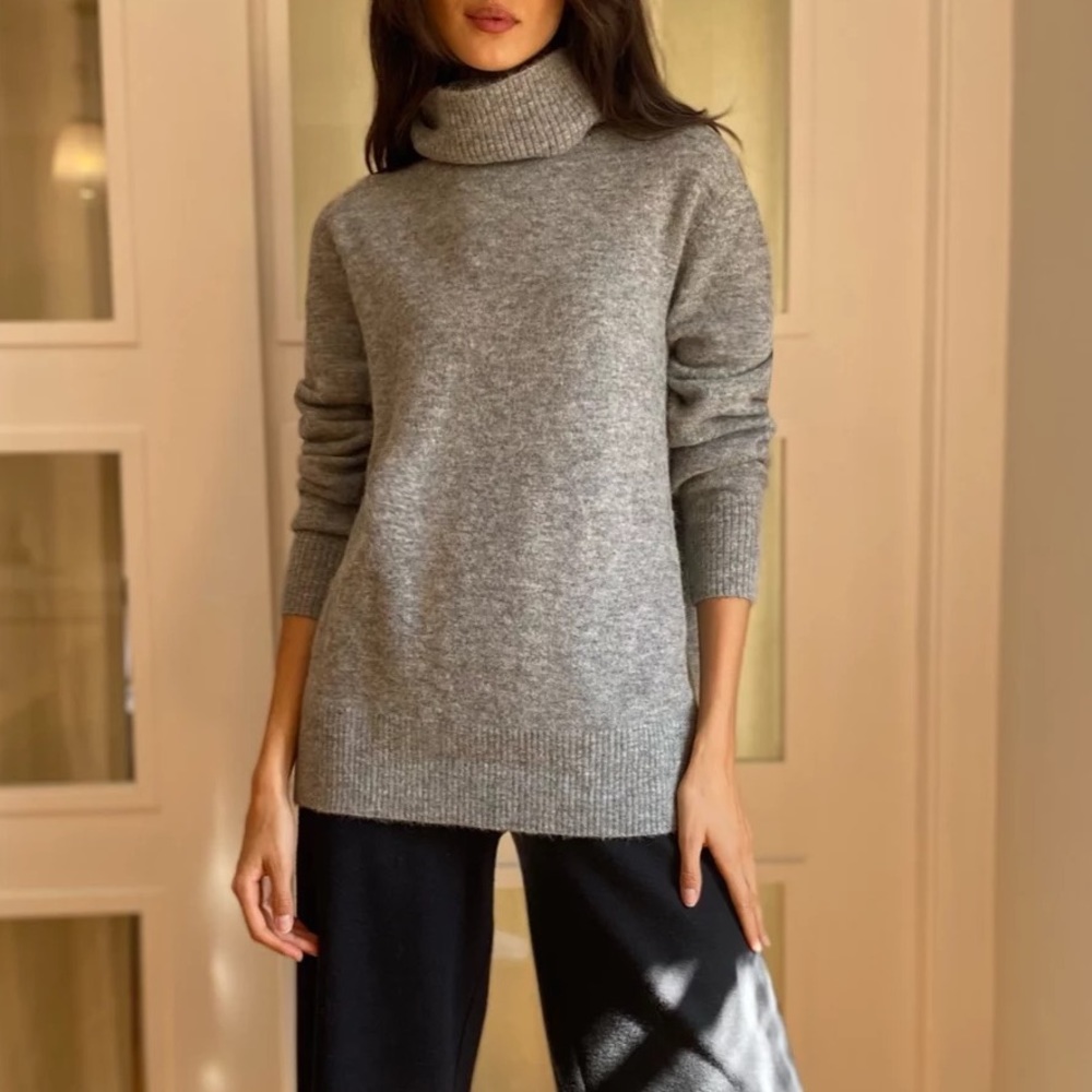 Aritzia Community Plutarch Turtleneck Sweater